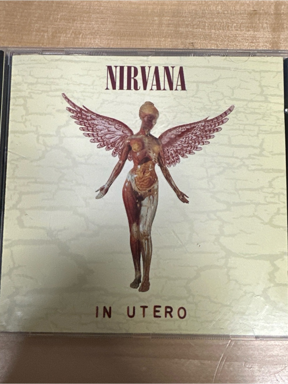 NIRVANA In Utero Cover — Cream & Maroon Artwork